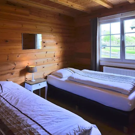 Chalet Luxurious Chalet In Sauerland With Private Garden