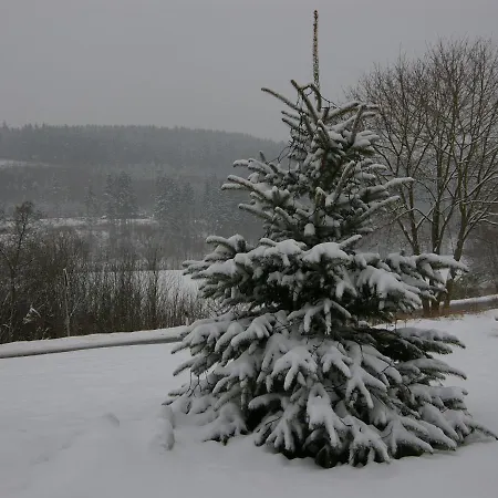 Luxurious Chalet In Sauerland With Private Garden Chalet *
